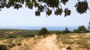 Mountiko Nature Trail
