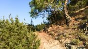 Pissouromoutti Nature Trail