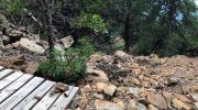 Μονοπάτι Πρόδρομος – Ζούμι