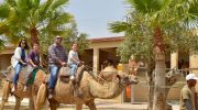 Zoos & Animal Farms in Cyprus